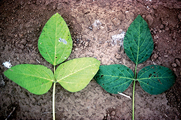 Figure 1-2_webjpg